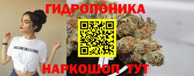 шишки Ипатово