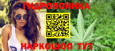 шишки Ипатово