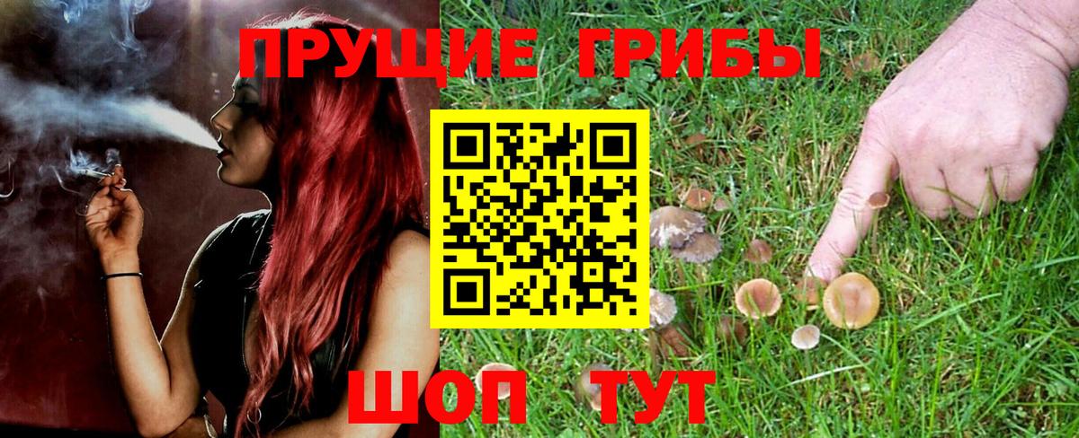 как найти наркотики  Галлюциногенные грибы MAGIC MUSHROOMS  Вход с VPN  Смоленск 
