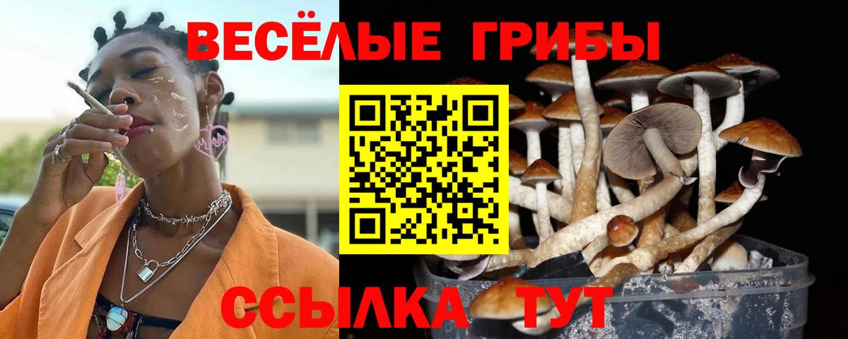 Бошки Шишки  ГАШ  Alpha-PVP СК   Смоленск  ГАШ  Мефедрон кристаллы  Вход с VPN 