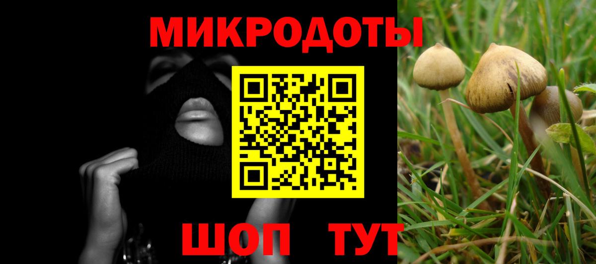Галлюциногенные грибы прущие грибы Смоленск